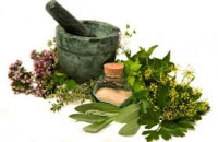 Curso Tratamientos Naturales con Hierbas