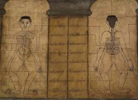 Máster en Medicina Thailandesa